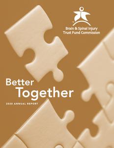 Annual report FY 2020