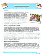 A snapshot of the interim report on the CMO audit, an initiative of the Georgia Department of Community Health [Jan. 2008]