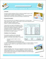 A snapshot of Georgia: Emergency Medical Assistance, a program of the Georgia Department of Community Health [July 2008]