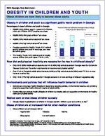 2010 Georgia data summary: obesity in children and youth [2010]