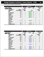 Georgia Physician Workforce county reports - 2008: Bleckley County physician standard report  [2010]