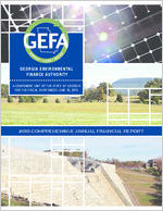 Comprehensive annual financial report [2010]