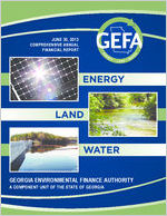 Comprehensive annual financial report, 2013