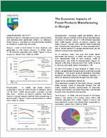 The economic impact of forest products manufacturing in Georgia