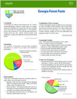 Georgia forest facts: 2005 fact sheet