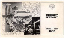 Budget report fiscal year 1982