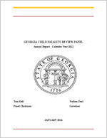 Georgia Child Fatality Review Panel annual report - calendar year 2013