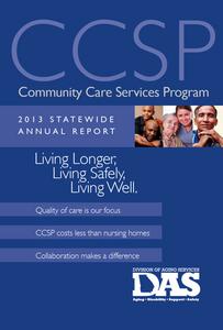 2013 statewide annual report