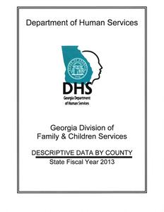 State fiscal year 2013 descriptive data by county