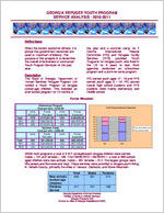 Georgia Refugee Youth Program 2010-2011 service analysis