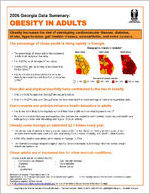 2006 Georgia data summary: obesity in adults [July 2006]