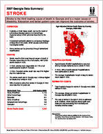 2007 Georgia data summary: stroke [July 2007]