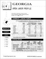 Georgia area labor profile: Bleckley County area [1994]