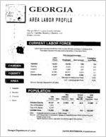 Georgia area labor profile: Camden County area [1994]