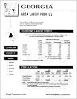 Georgia area labor profile: Candler County area [1994]