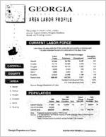 Georgia area labor profile: Carroll County area [1994]