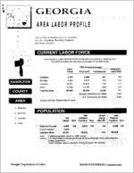 Georgia area labor profile: Charlton County area [1994]