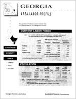 Georgia area labor profile: Chatham County area [1994]