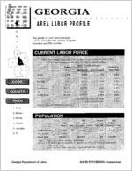 Georgia area labor profile: Cook County area [1995]