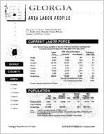 Georgia area labor profile: Dooly County area [1994]
