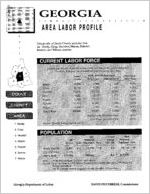 Georgia area labor profile: Dooly County area [1995]