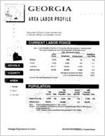 Georgia area labor profile: Echols County area [1994]