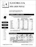 Georgia area labor profile: Emanuel County area [1994]