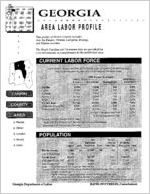 Georgia area labor profile: Fannin County area [1995]