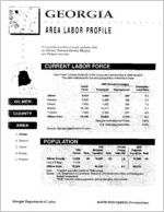 Georgia area labor profile: Gilmer County area [1994]