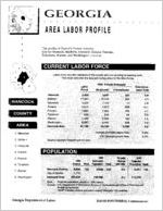 Georgia area labor profile: Hancock County area [1994]