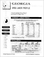 Georgia area labor profile: Houston County area [1994]