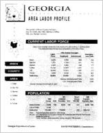 Georgia area labor profile: Irwin County area [1994]