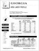 Georgia area labor profile: Jeff Davis County area [1994]