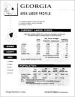 Georgia area labor profile: Jenkins County area [1994]