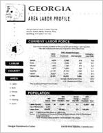 Georgia area labor profile: Lamar County area [1994]