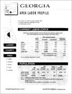 Georgia area labor profile: Lanier County area [1994]