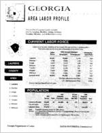 Georgia area labor profile: Laurens County area [1994]