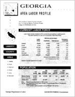 Georgia area labor profile: Liberty County area [1994]