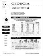 Georgia area labor profile: Morgan County area [1994]
