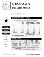 Georgia area labor profile: Putnam County area [1994]