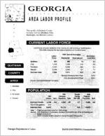 Georgia area labor profile: Quitman County area [1994]