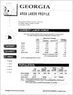 Georgia area labor profile: Schley County area [1994]