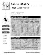Georgia area labor profile: Tattnall County area [1995]
