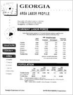 Georgia area labor profile: Truetlen County area [1994]