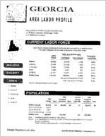 Georgia area labor profile: Walker County area [1994]