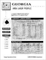 Georgia area labor profile: Washington County area [1995]