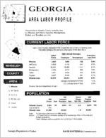 Georgia area labor profile: Wheeler County area [1994]