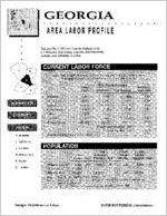Georgia area labor profile: Wheeler County area [1995]