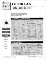 Georgia area labor profile: Wilcox County area [1995]