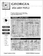Georgia area labor profile: Wilkinson County area [1995]